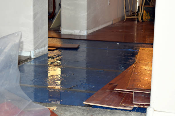 Professional Sewage Cleanup technician working in Sparta, MI